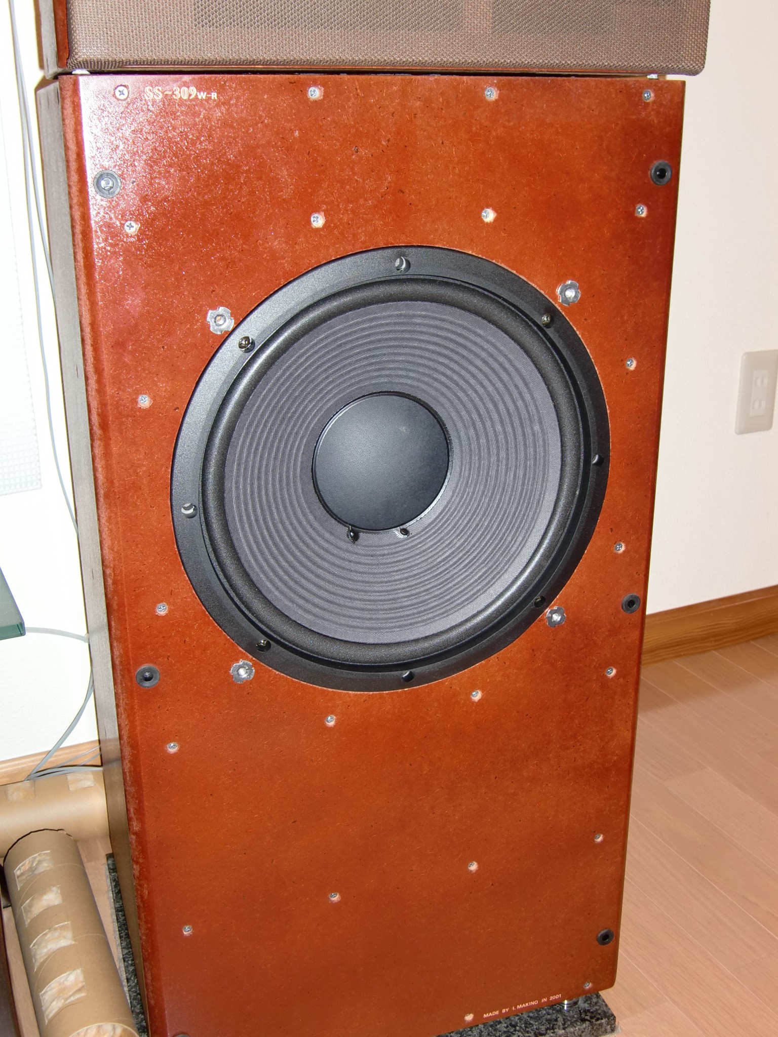 Completed woofer module (front view)