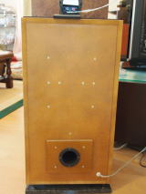 Completed woofer module (back view)